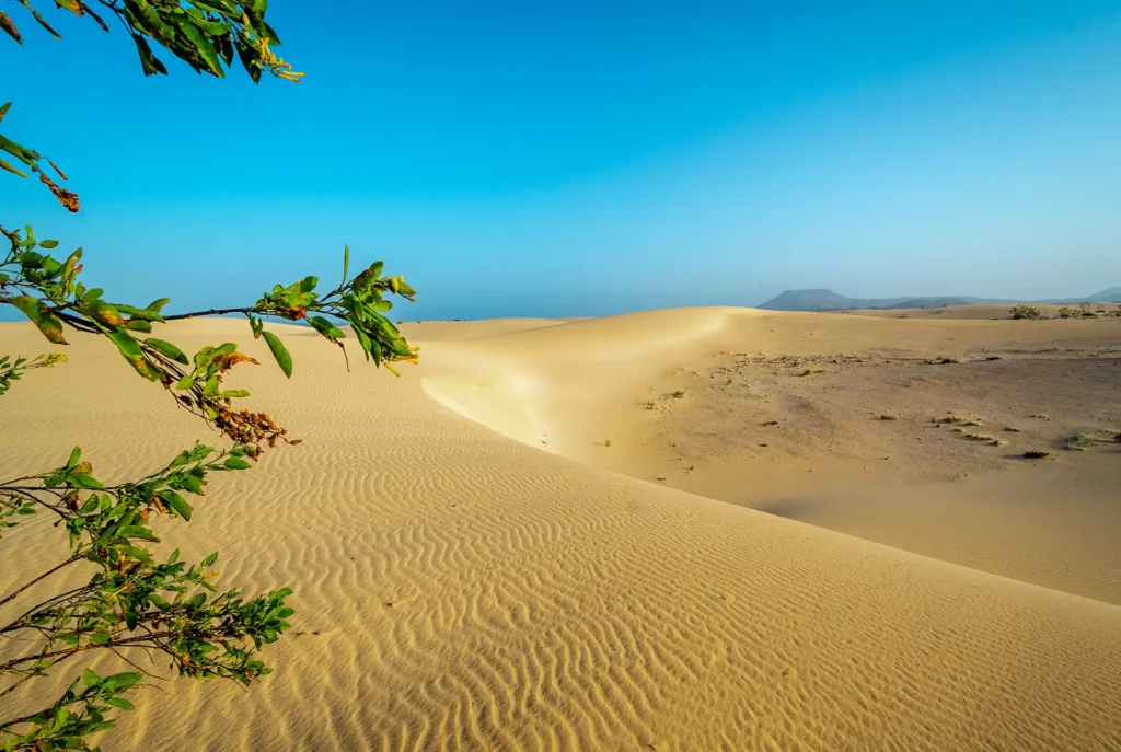 Highlights Fuerteventura Dunas de Corralejo