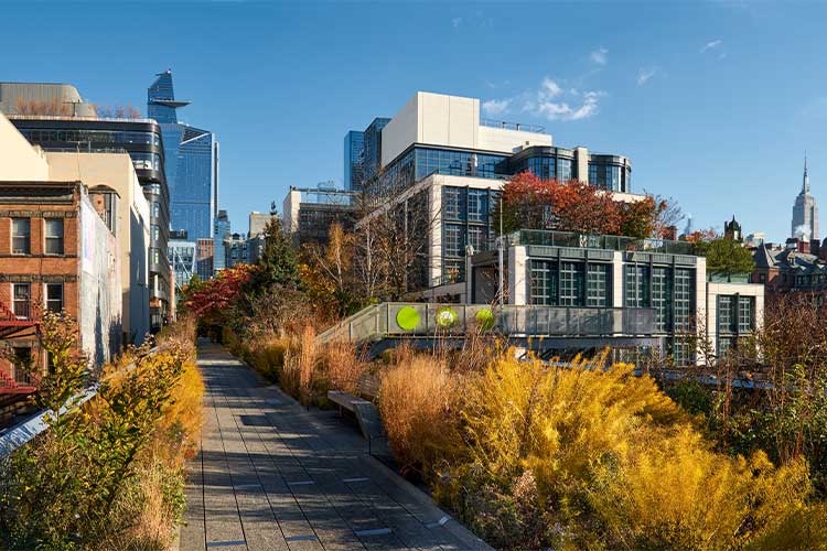 New York in 5 Tagen: High Line Park