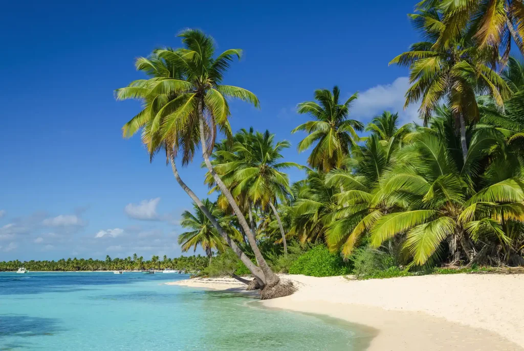Wo ist es im Januar warm: Dominikanische Republik
