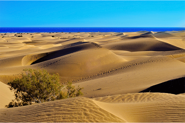 Was kann man auf Gran Canaria machen: Dunas de Maspalomas