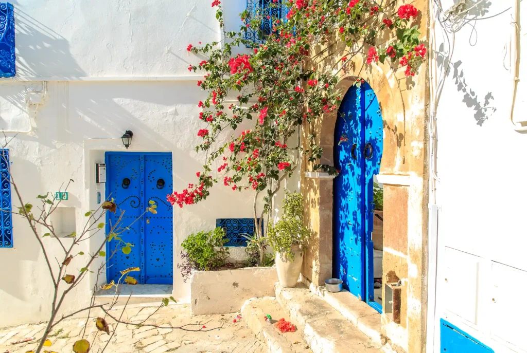 Ausfluege Hammamet: Sidi Bou Said
