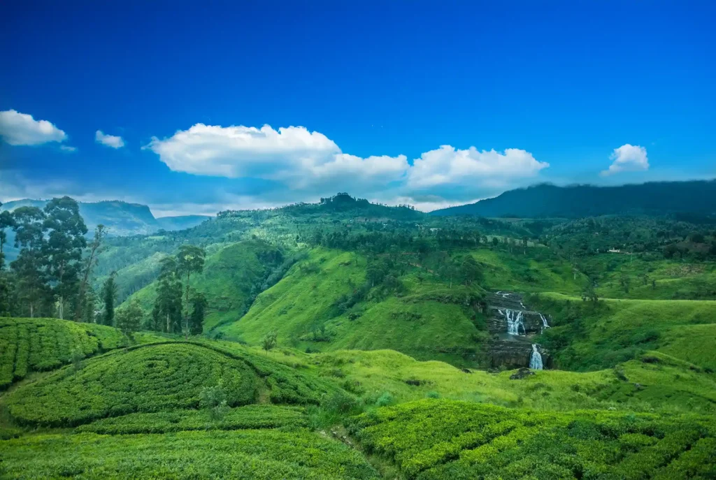Wo ist es warm im Dezember: Sri Lanka