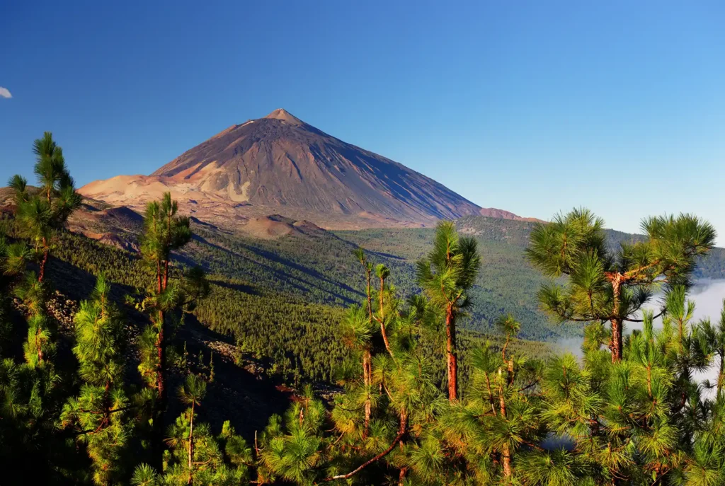 Teneriffa oder Gran Canaria Aktivitäten