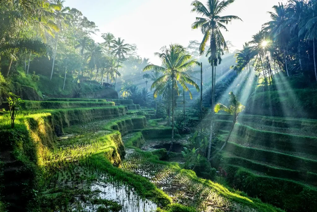 Spätsommerurlaub auf Bali