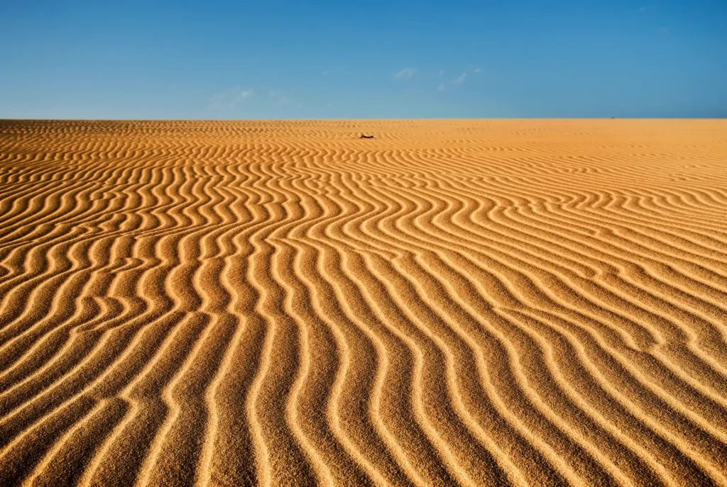 Ausflüge Fuerteventura Dünen