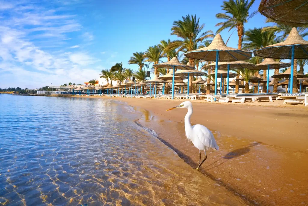 Urlaubsorte Ägypten: Hurghada