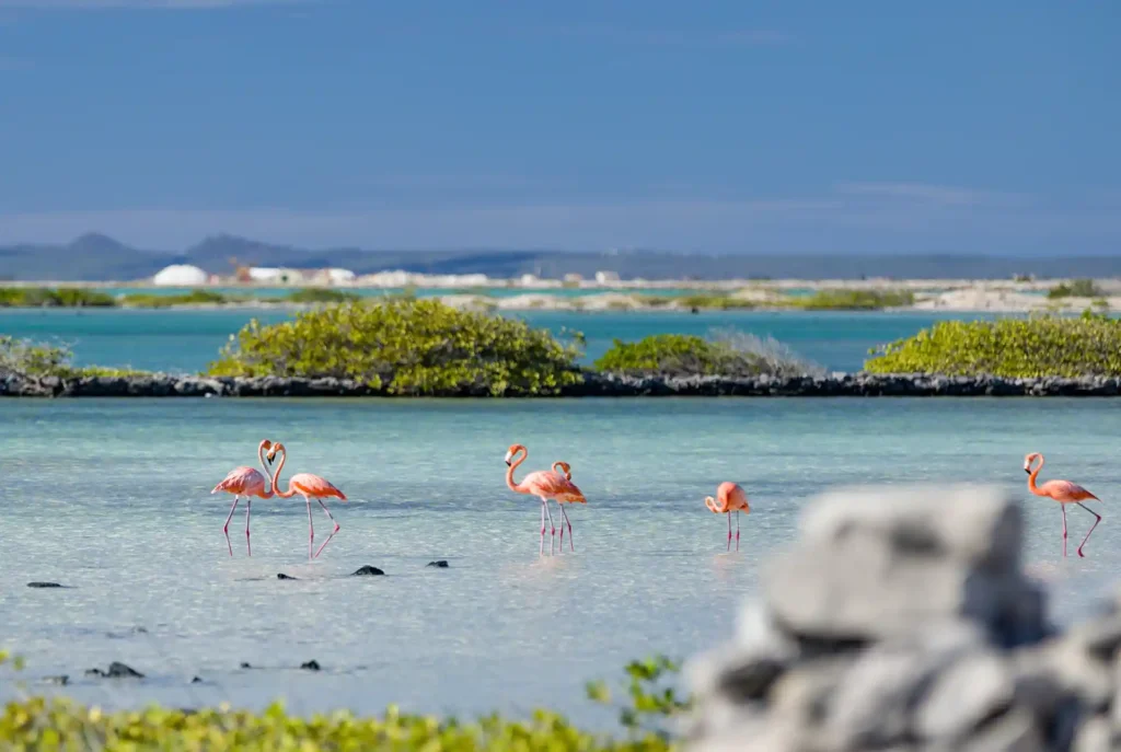 Urlaub Karibische Inseln Bonaire